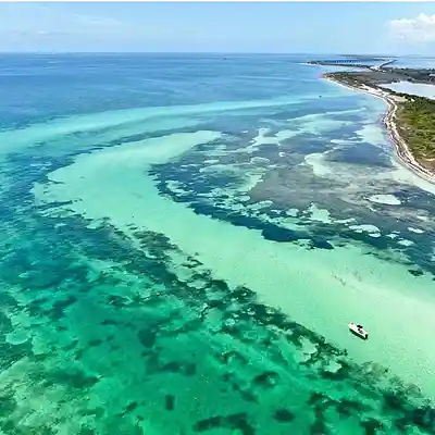 Picture for song '07. BAHIA HONDA' by artist 'Johnny Lobo Music'