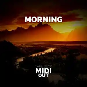 Picture for song 'MORNING' by artist 'MIDI OUT PROD.'