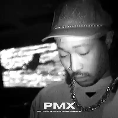 Picture for song '"FELLING" Trap Type Beat' by artist 'PmXBeatz'
