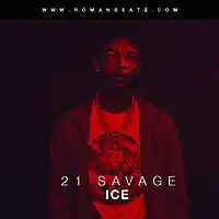 Picture for song 'Ice (21 Savage Type Beat)' by artist 'TheRealRomanBeatz'