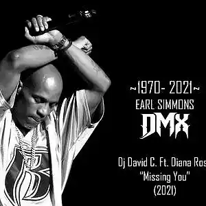 Picture for song 'Dj David C. Ft. Diana Ross -Missing You (2021)' by artist 'King David Production'