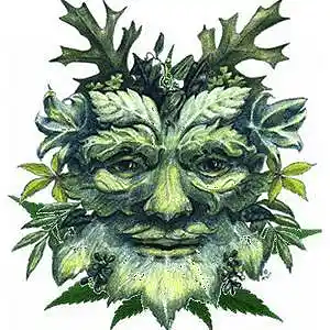 Picture for song 'Heather Ann Shepard - The Green Manalishi' by artist 'TROLL FARM STUDIOS'