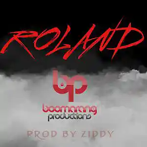 Picture for song 'Roland' by artist 'Ziddy (Bang)'