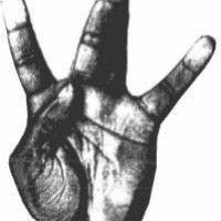 Picture for song 'A Good Day *New West Type Beat*' by artist 'Audio Narcotics'