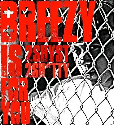 Picture for song 'Get Up Get Out' by artist 'Breezy The King Of The DMV'