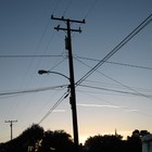 Picture for song 'Bad Moon Rising' by artist 'Blue Lemmings'