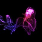 Picture for song 'F&#8498; 98' by artist 'Bread StaxXx'