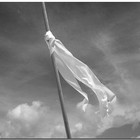 Picture for song 'White Flag' by artist 'C40 Productions'