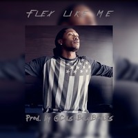 Picture for song 'Flex Like Me (FREE DL) ' by artist 'Cash Bag Beats'