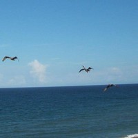 Picture for song 'Bye And Bye' by artist 'D B Hankinster'