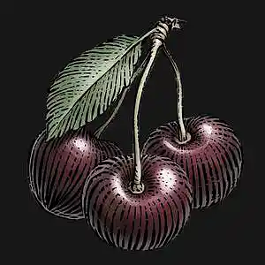 Picture for song 'Black Cherry (Shy Glizzy Type Beat) - Devezin.com' by artist 'Devezin'