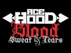Picture for song '*Ace Hood*!! Blood, Sweat, Tears (- FREE DL! -)' by artist 'Dj Fatality Beatz'