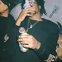 Picture for song 'all this ice' by artist 'DRIP QUINTEL'