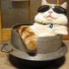 Picture for song 'Super High Me' by artist 'Drumsynth'