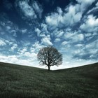 Picture for song 'Better Days (2010)' by artist 'ErASMUSic'