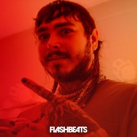 Picture for song 'From The Bottom' by artist 'FlashBeats.net'