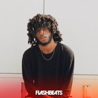 Picture for song 'Throw It' by artist 'FlashBeats.net'