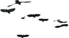 Picture for song 'Flocks (free download) | old' by artist 'Flibeats'