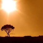 Picture for song 'Sunshine instrumental prod. by One Man Militia' by artist 'Godvilla'