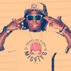 Picture for song 'In Too Deep (Monarchy)' by artist 'GrandMoss'