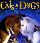 Picture for song '(FREE DOWNLOAD) Cats & Dogz' by artist 'Hit7Beatz.com'