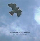 Picture for song 'The Ninth Planet' by artist 'Hungry for Panda'