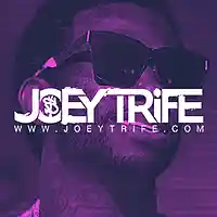 Picture for song 'Commanche' by artist 'Joey Trife'