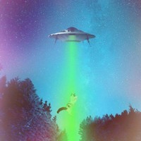 Picture for song 'Magician2 Remix' by artist 'Johanna Renfro'