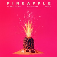 Picture for song 'Pineapple' by artist 'KNTBEATS'