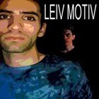 Picture for song 'Noise' by artist 'Leiv Motiv'