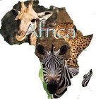 Picture for song 'Africa' by artist 'Louie's OMB'