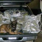 Picture for song 'JBxPOUNDSOFMID(FREEDL!2011)' by artist 'Major League Pro'