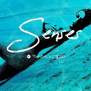 Picture for song 'Senses' by artist 'MandalazMusic'