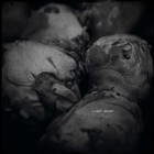 Picture for song '02 Hot Heart.mp3' by artist 'oxyde noir'