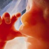 Picture for song 'Cry of the Unborn' by artist 'Paddy McConnell family and friends'