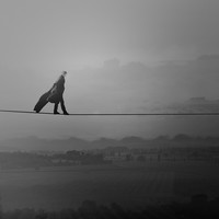 Picture for song 'Slightly High' by artist 'Paul Mcilwaine'