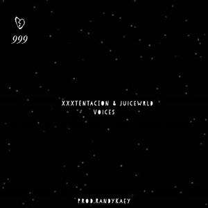 Picture for song 'Voices (INSTRUMENTAL)' by artist 'Prod.RandyKaey'