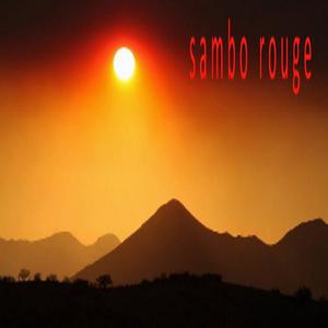 Picture for song 'desert flight' by artist 'Sambo Rouge'