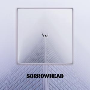 Picture for song 'Lead' by artist 'srwhd'