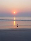 Picture for song 'If I Needed You (Cover)' by artist 'TexScratch'