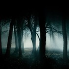 Picture for song '*ORCHESTRAL*Lost World' by artist 'THE L3GION OF DOOM'