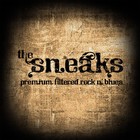 Picture for song 'Break You Down' by artist 'The Sneaks'