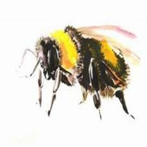 Picture for song 'BUMBLEBEE (BUY 1 GET 4 FREE)' by artist 'THISNTHAT'