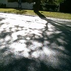 Picture for song 'Last Chance Blues' by artist 'tichphillips'