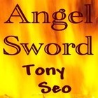 Picture for song 'Angel Sword' by artist 'Tony Seo'