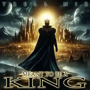 Picture for song 'MEANT TO BE A KING' by artist 'TRELL MIX 209'