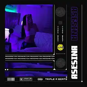 Picture for song 'ASESINA' by artist 'Triple R Beatz'