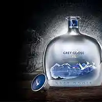 Picture for song 'Gone Off The Goose (96Bpm)' by artist 'Tropix Beats'