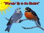 Picture for song 'Warmin' Up to the Bluebird' by artist 'Turquoise Rose'