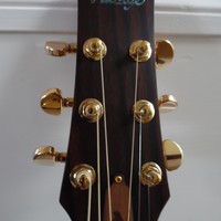 Picture for song 'Two Fingers for Fretting' by artist 'Viking Blues'